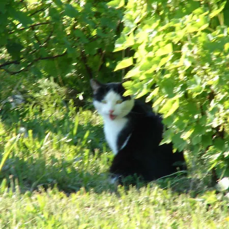 Dana Vakantieboerderij *