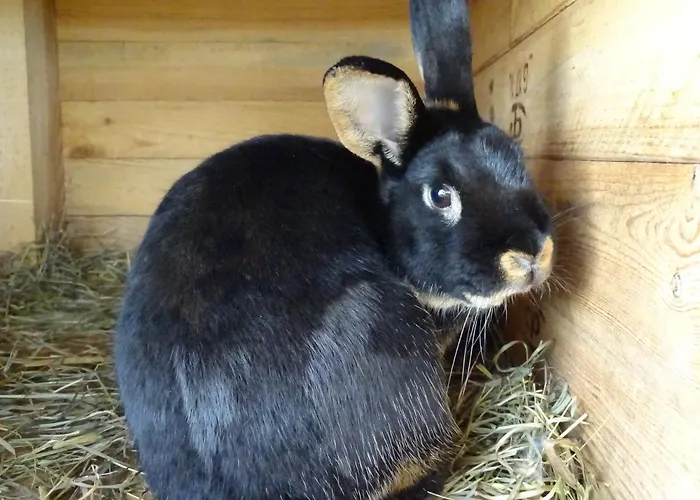 Séjour à la ferme Dana *