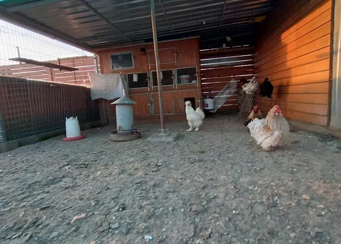 Séjour à la ferme Dana