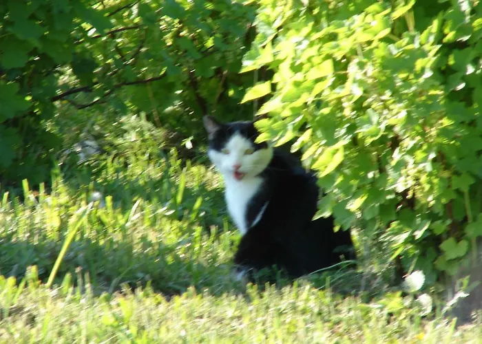 Dana Séjour à la ferme *